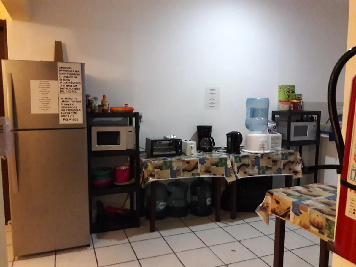 Alme Hostel Playa del Carmen Mexico